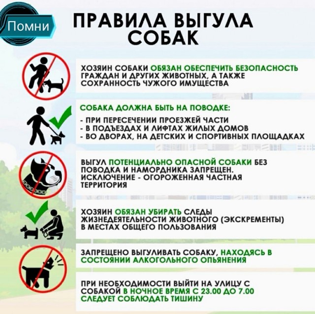 foto 2025 05 15 09 04 001