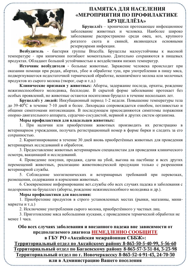 foto 2025 05 26 15 10 001
