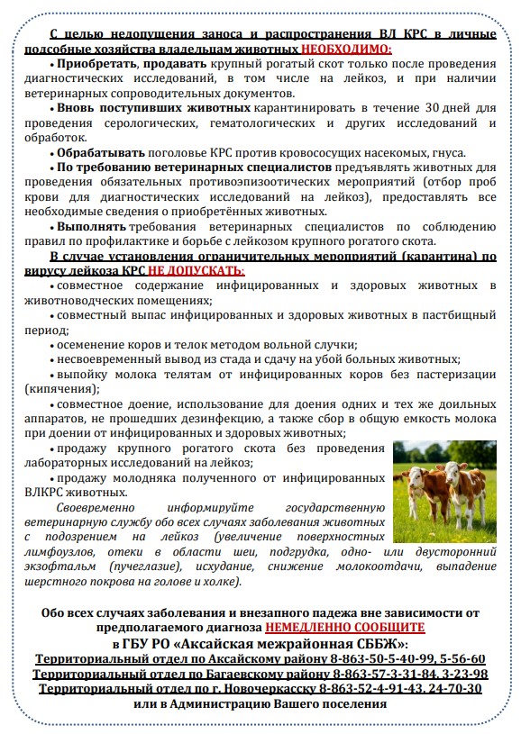 foto 2025 06 24 13 05 002